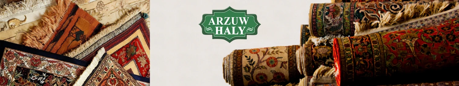 ARZUW HALY offer